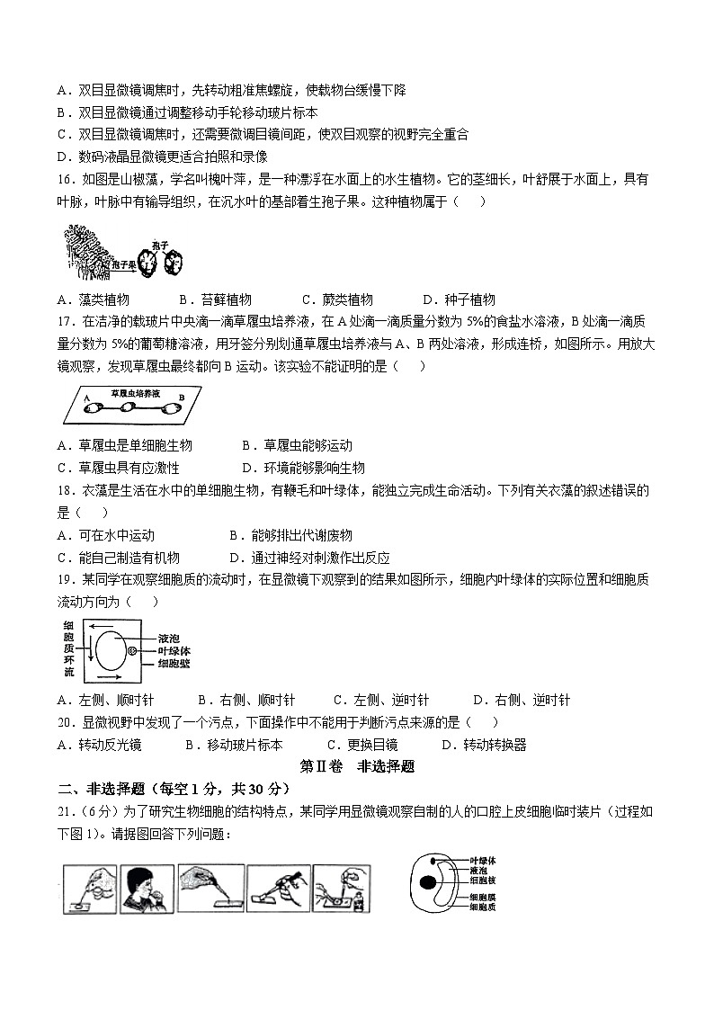 河南省信阳市淮滨县2024-2025学年七年级上学期期中生物试题(无答案)第3页