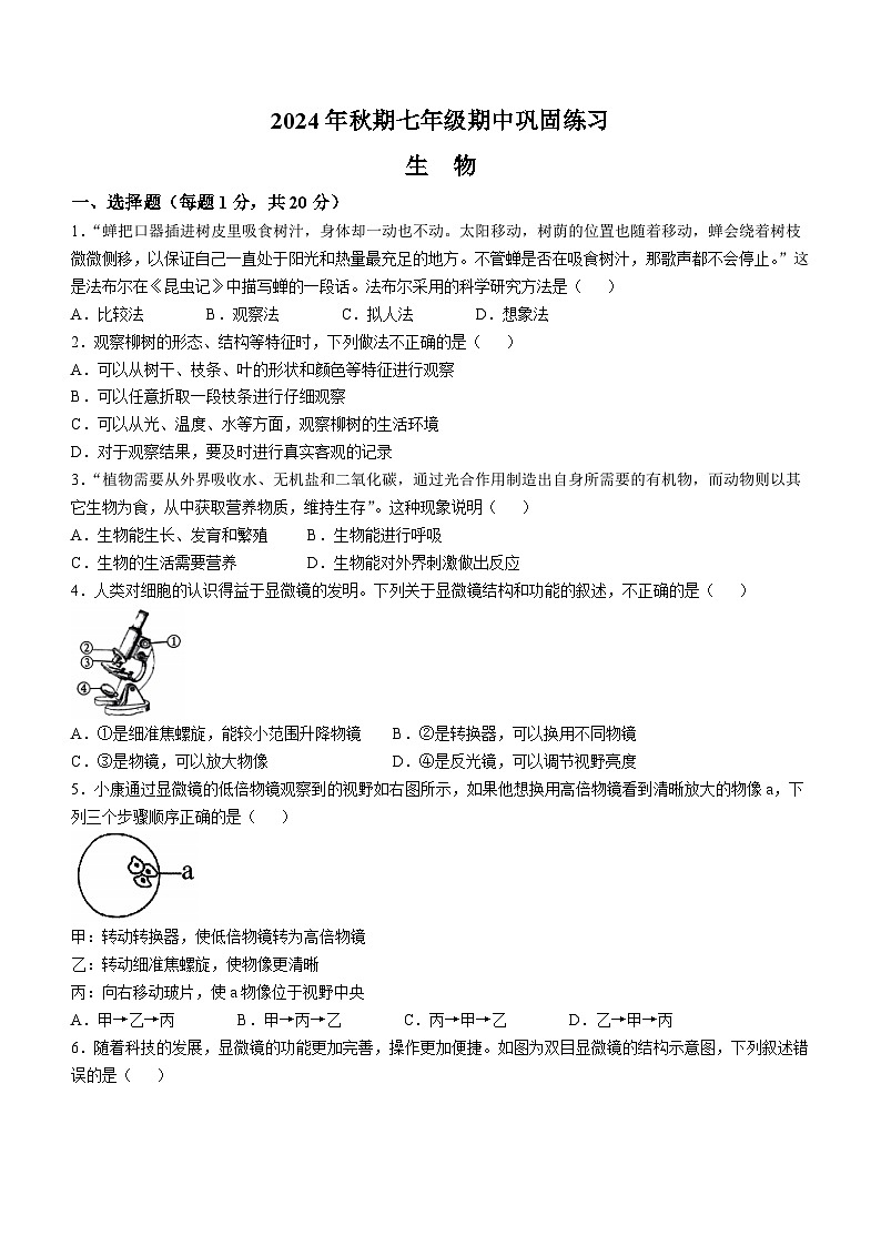 河南省南阳市南召县2024-2025学年七年级上学期期中生物试题(无答案)第1页