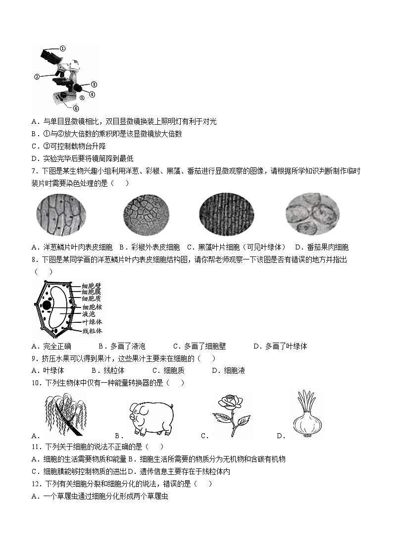 河南省南阳市南召县2024-2025学年七年级上学期期中生物试题(无答案)第2页