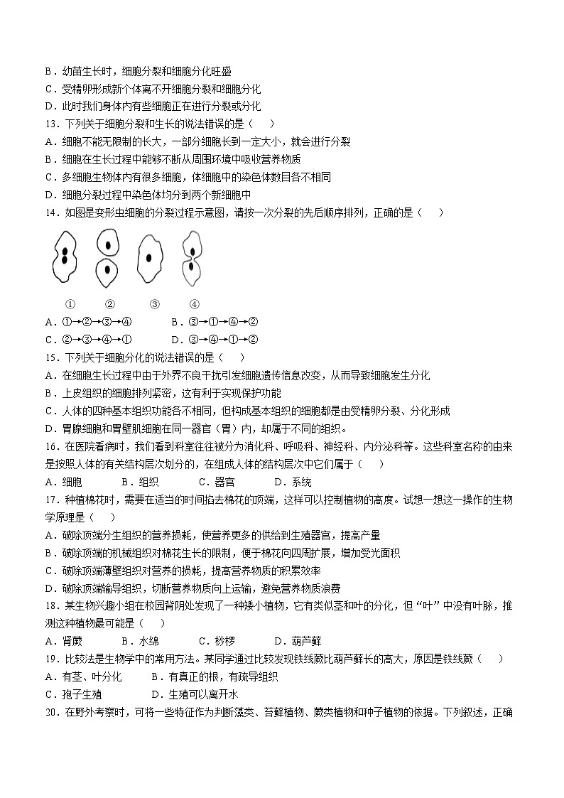 河南省南阳市南召县2024-2025学年七年级上学期期中生物试题(无答案)第3页