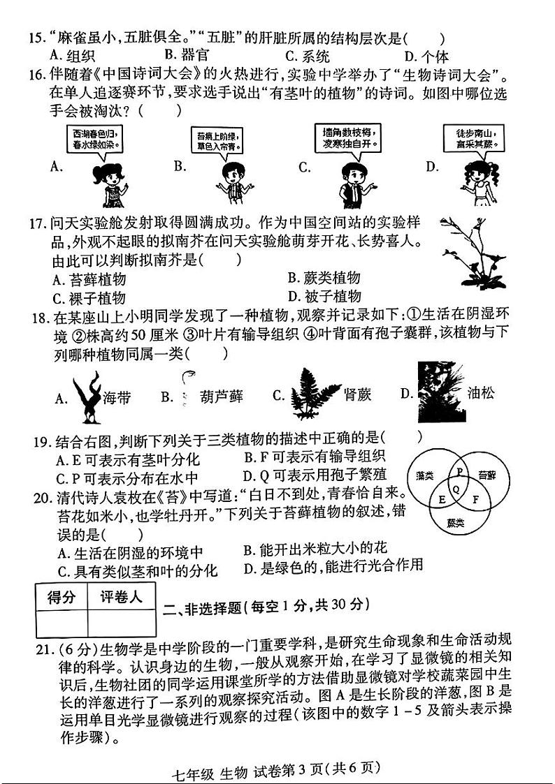 河南省洛阳市伊滨区、瀍河区2024-2025学年七年级上学期期中考试生物试题第3页
