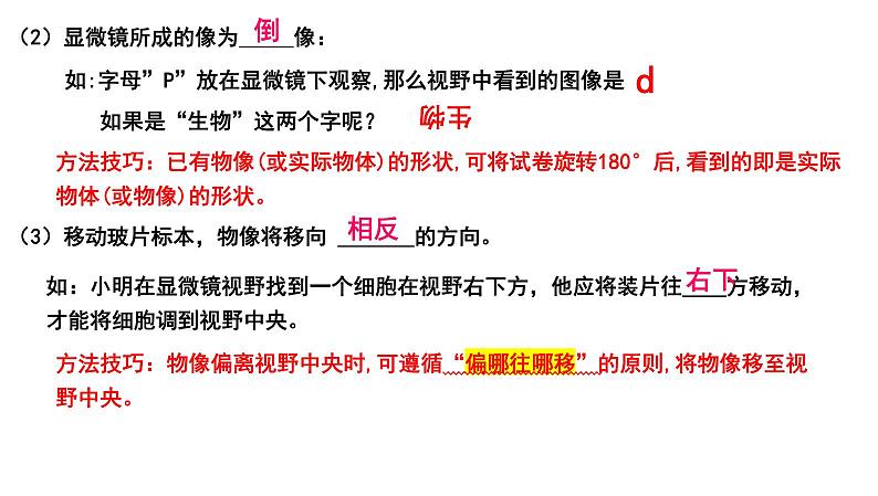 2025年中考生物一轮复习考点通关精讲课件专题03 显微镜的结构、功能和使用(含答案)第5页