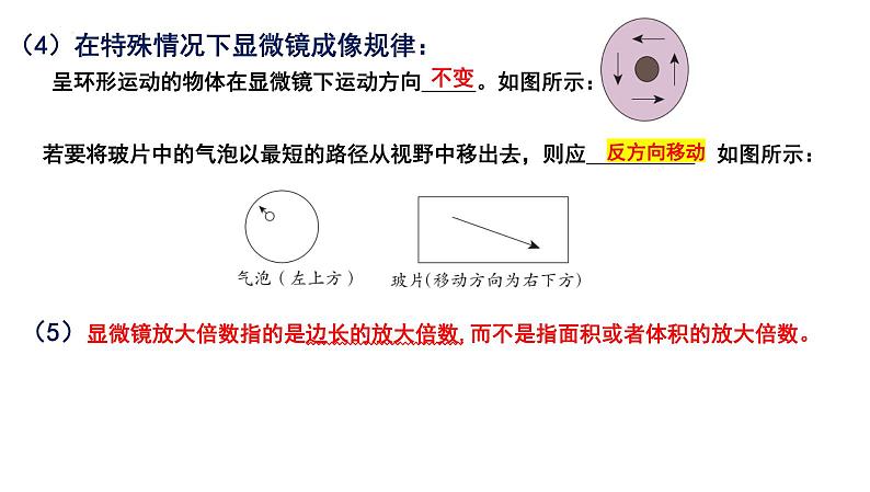 2025年中考生物一轮复习考点通关精讲课件专题03 显微镜的结构、功能和使用(含答案)第6页