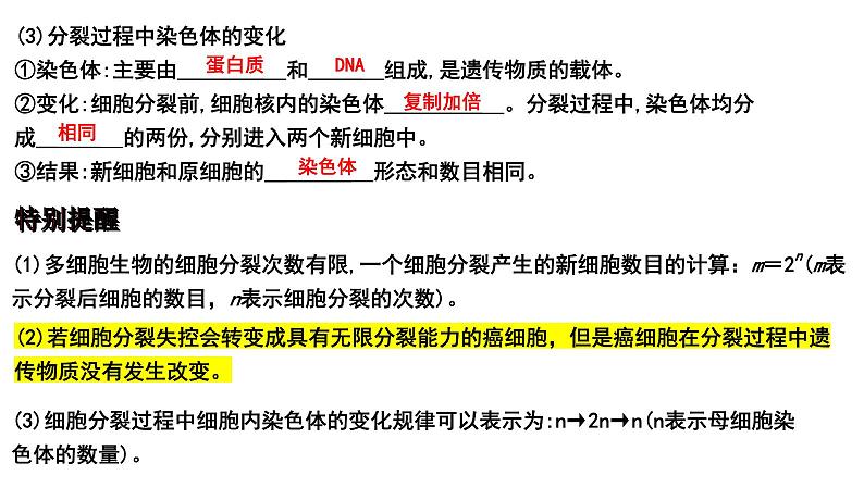 2025年中考生物一轮复习考点通关精讲课件专题05 生物体的结构层次(含答案)第3页