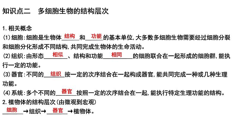 2025年中考生物一轮复习考点通关精讲课件专题05 生物体的结构层次(含答案)第6页