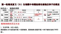 2025年中考生物一轮复习考点通关精讲课件专题06 生物圈中有哪些绿色植物及种子的萌发(含答案)