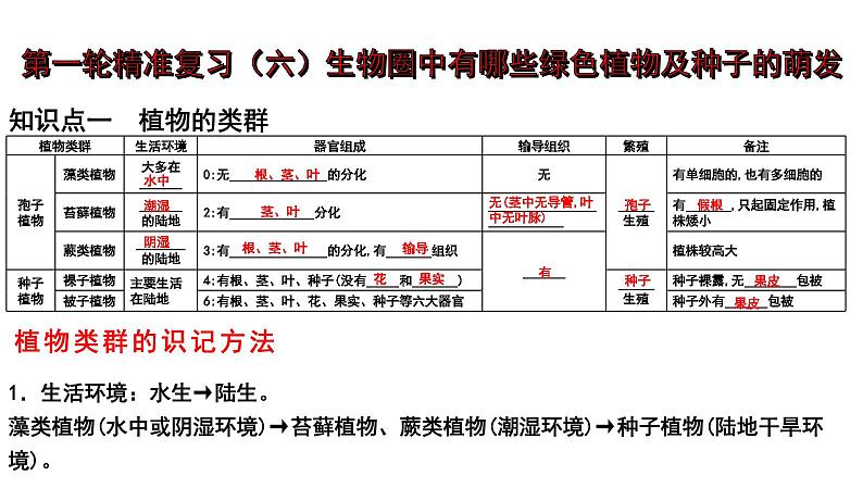2025年中考生物一轮复习考点通关精讲课件专题06 生物圈中有哪些绿色植物及种子的萌发(含答案)第1页