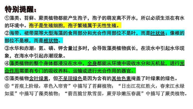 2025年中考生物一轮复习考点通关精讲课件专题06 生物圈中有哪些绿色植物及种子的萌发(含答案)第3页