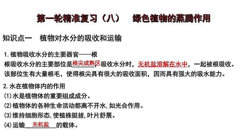 2025年中考生物一轮复习考点通关精讲课件专题08 绿色植物的蒸腾作用(含答案)第1页
