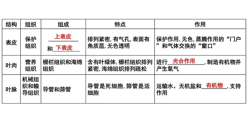 2025年中考生物一轮复习考点通关精讲课件专题08 绿色植物的蒸腾作用(含答案)第6页
