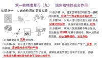2025年中考生物一轮复习考点通关精讲课件专题09 绿色植物的光合作用（含答案）