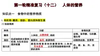 2025年中考生物一轮复习考点通关精讲课件专题12 人体的营养（含答案）