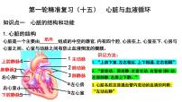 2025年中考生物一轮复习考点通关精讲课件专题15 人体内的物质运输(二)(含答案)