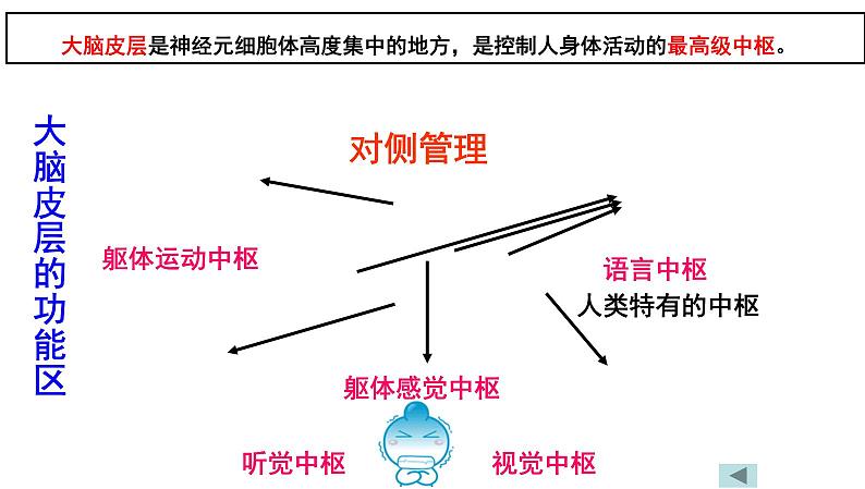 2025年中考生物一轮复习考点通关精讲课件专题17 人体生命活动调节(含答案)第4页