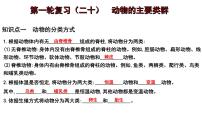 2025年中考生物一轮复习考点通关精讲课件专题20 动物的主要类群（含答案）