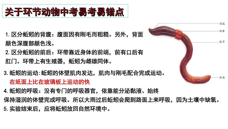 2025年中考生物一轮复习考点通关精讲课件专题20 动物的主要类群(含答案)第5页