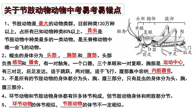 2025年中考生物一轮复习考点通关精讲课件专题20 动物的主要类群(含答案)第6页