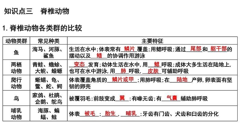 2025年中考生物一轮复习考点通关精讲课件专题20 动物的主要类群(含答案)第8页