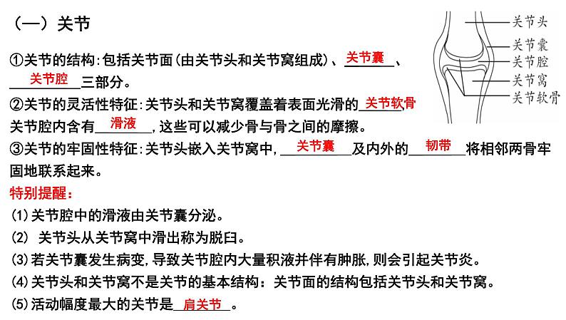 2025年中考生物一轮复习考点通关精讲课件专题21 动物的运动和行为(含答案)第3页