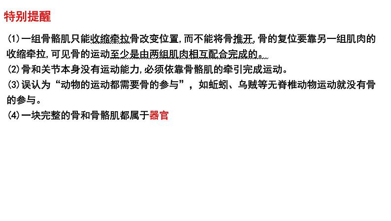 2025年中考生物一轮复习考点通关精讲课件专题21 动物的运动和行为(含答案)第5页