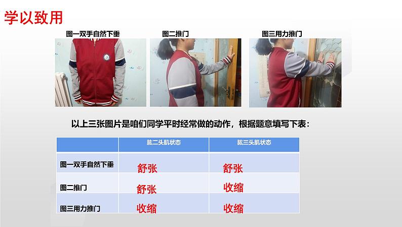 2025年中考生物一轮复习考点通关精讲课件专题21 动物的运动和行为(含答案)第8页