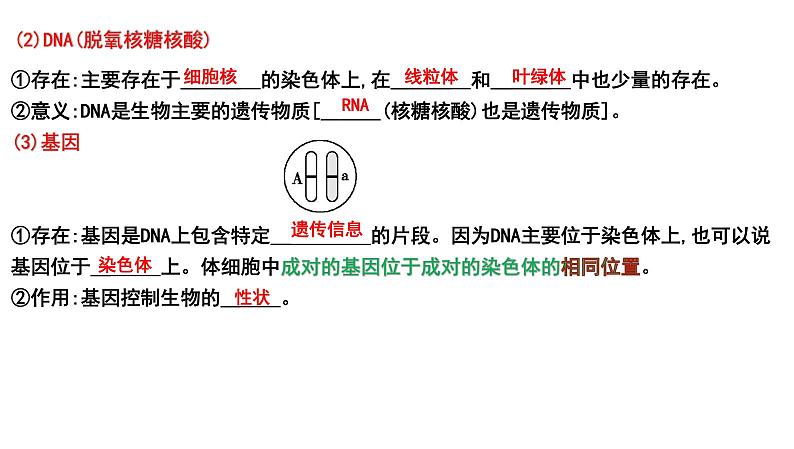 2025年中考生物一轮复习考点通关精讲课件专题23 生物的遗传和变异(含答案)第3页