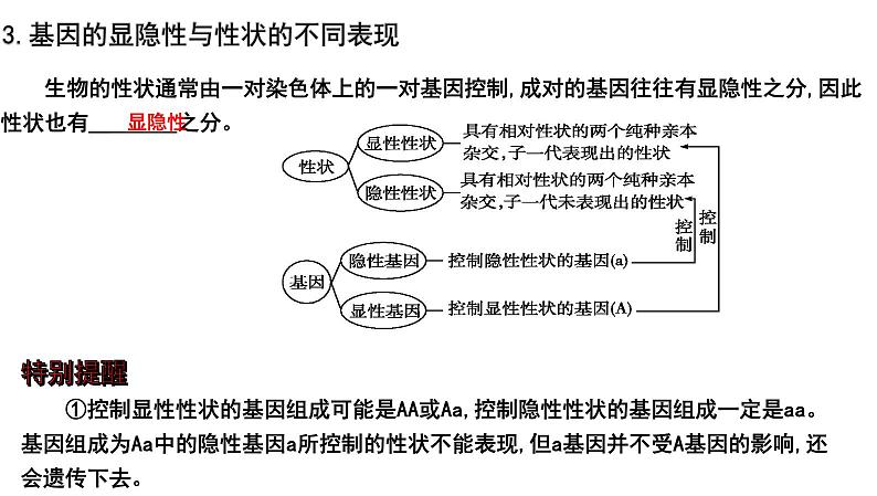 2025年中考生物一轮复习考点通关精讲课件专题23 生物的遗传和变异(含答案)第8页