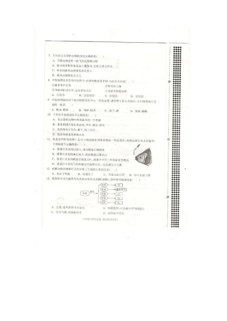 河南省驻马店市平舆县2024-2025人教生物八年级上册期中测评第2页