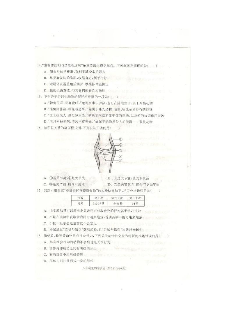 河南省驻马店市平舆县2024-2025人教生物八年级上册期中测评第3页