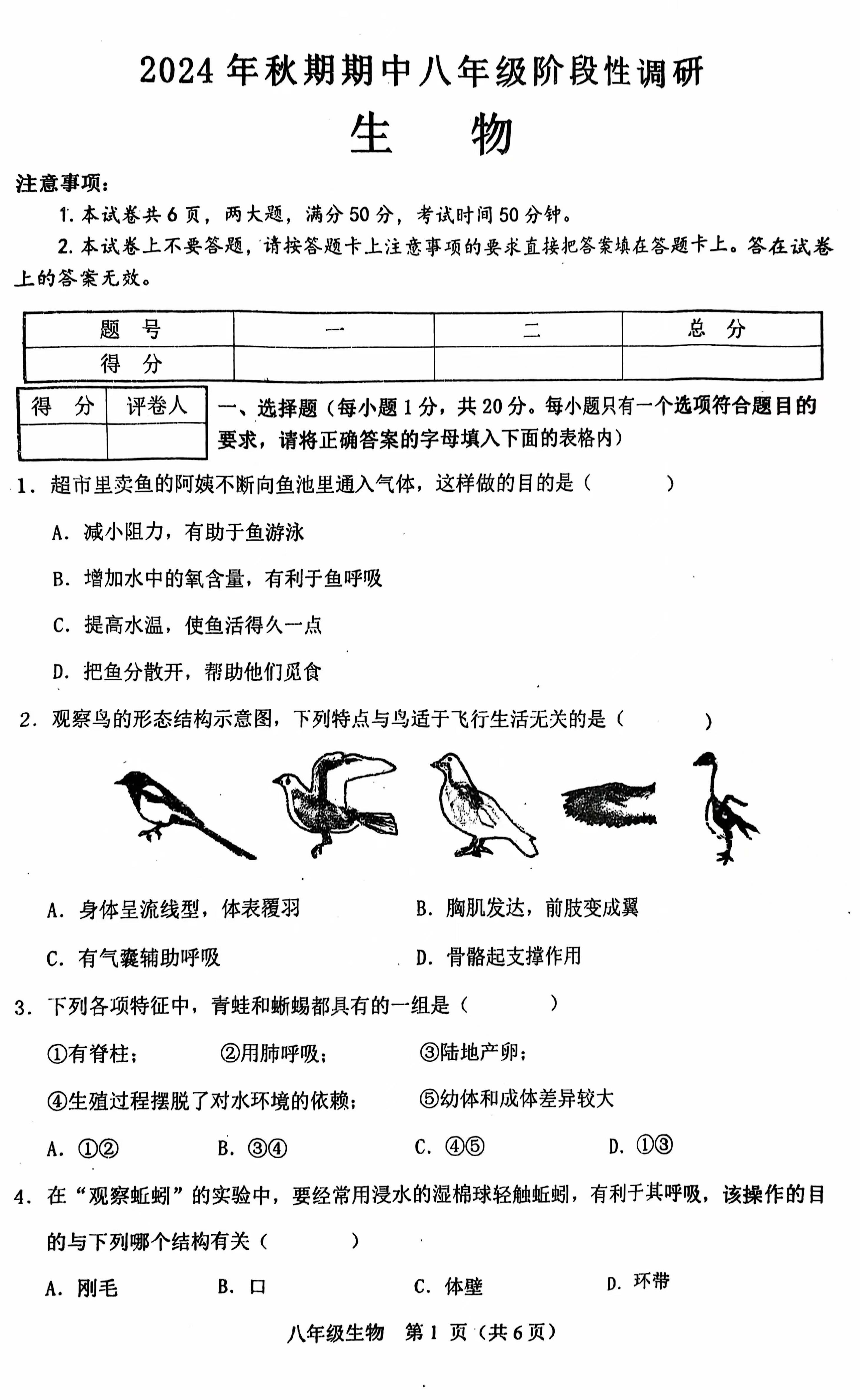 河南省南阳市淅川县2024-2025学年八年级上学期11月期中生物试题