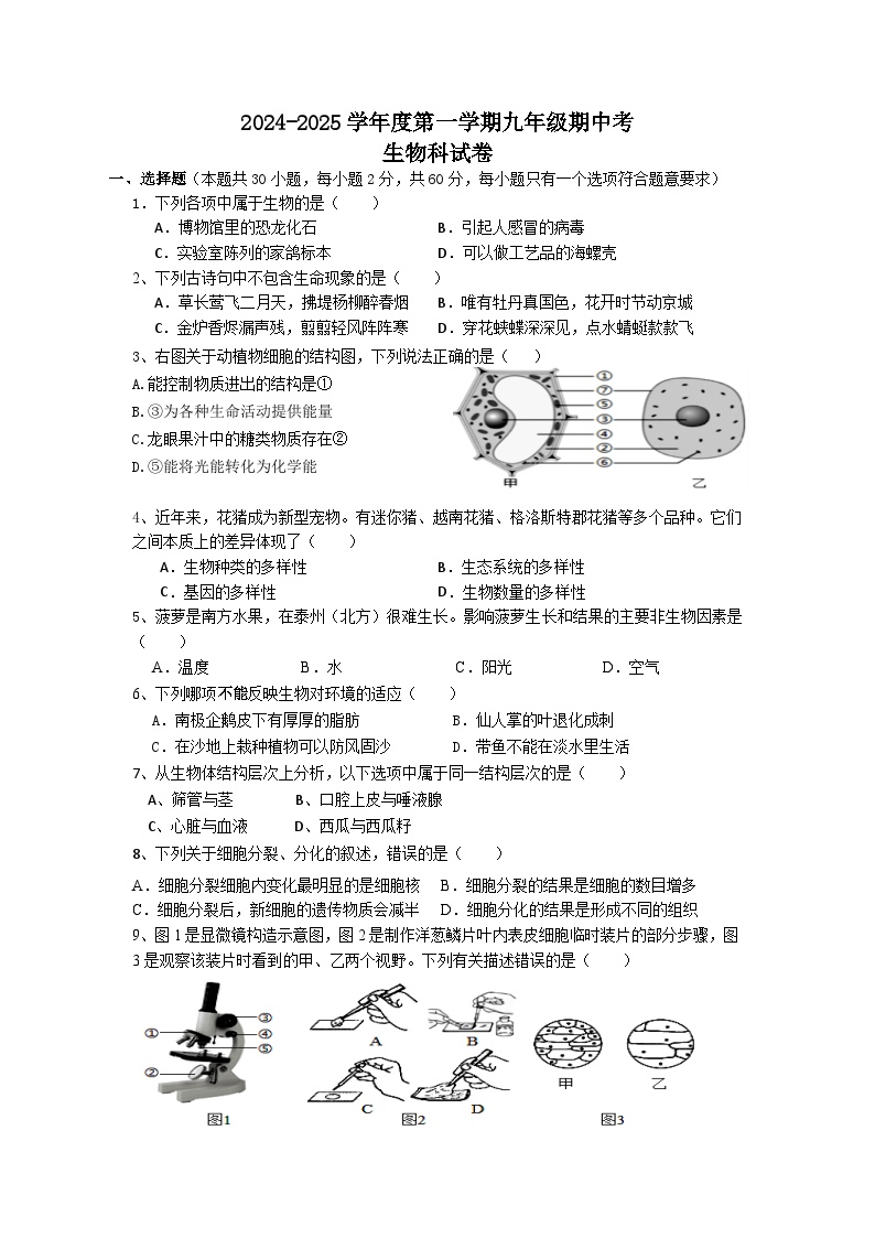 广东省揭阳市揭西县2024-2025学年九年级上学期期中考试生物试题