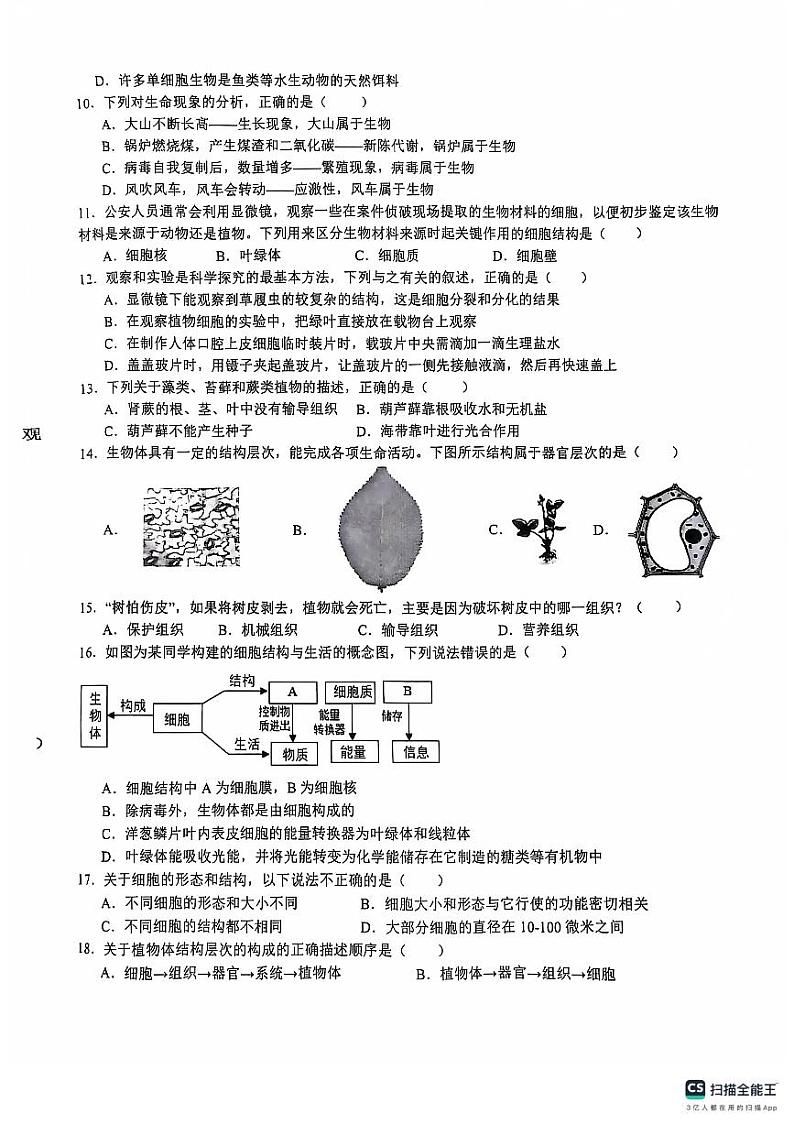 七生第2页