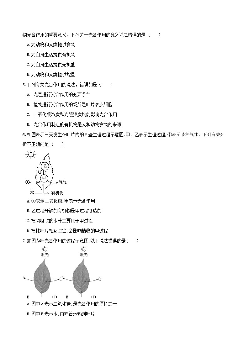 (通用版)中考生物一轮复习考点练习专题07 绿色植物的光合作用(练习)(原卷版)第2页