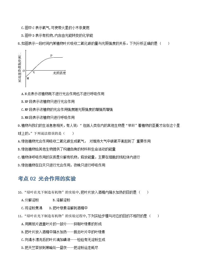 (通用版)中考生物一轮复习考点练习专题07 绿色植物的光合作用(练习)(原卷版)第3页