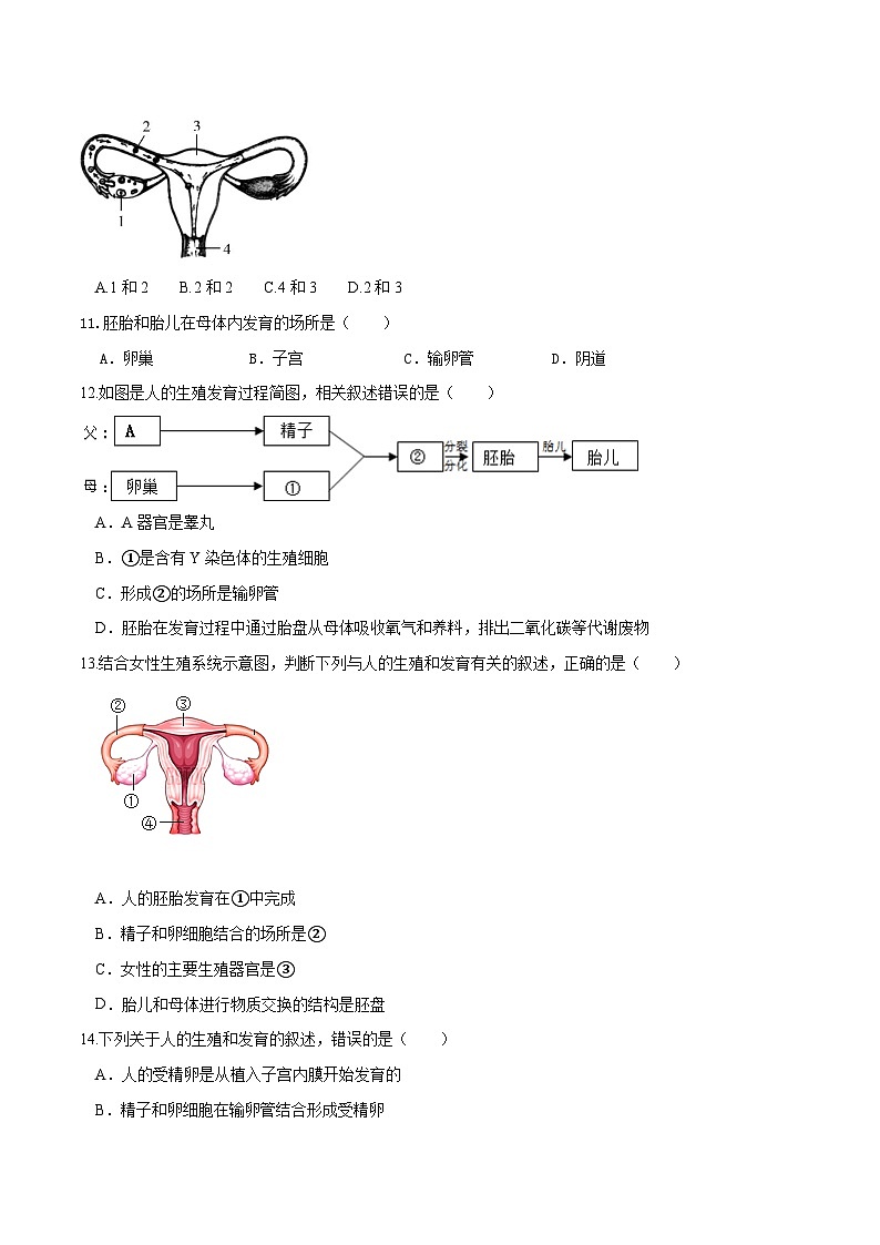 (通用版)中考生物一轮复习考点练习专题09 人的由来(练习)(原卷版)第3页