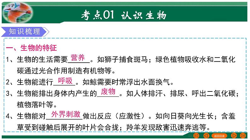 2025年中考生物一轮复习考点练习课件 专题01 生物和生物圈第4页