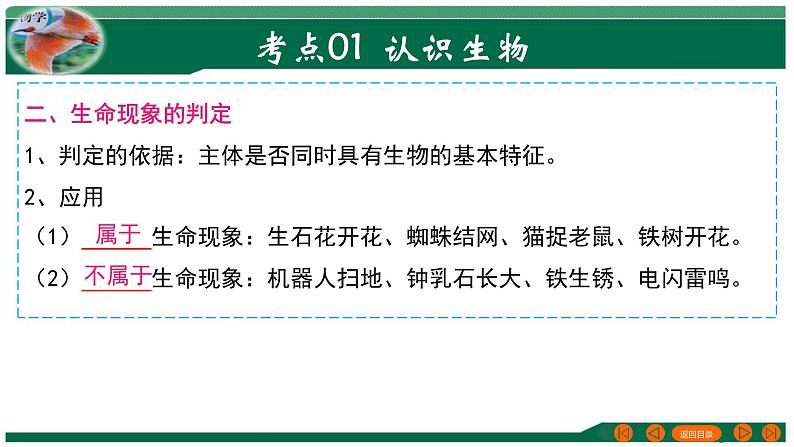 2025年中考生物一轮复习考点练习课件 专题01 生物和生物圈第6页