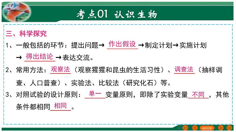 2025年中考生物一轮复习考点练习课件 专题01 生物和生物圈第7页