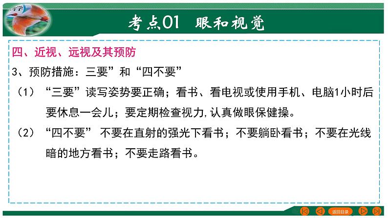 2025年中考生物一轮复习考点练习课件 专题14 人体生命活动的调节08