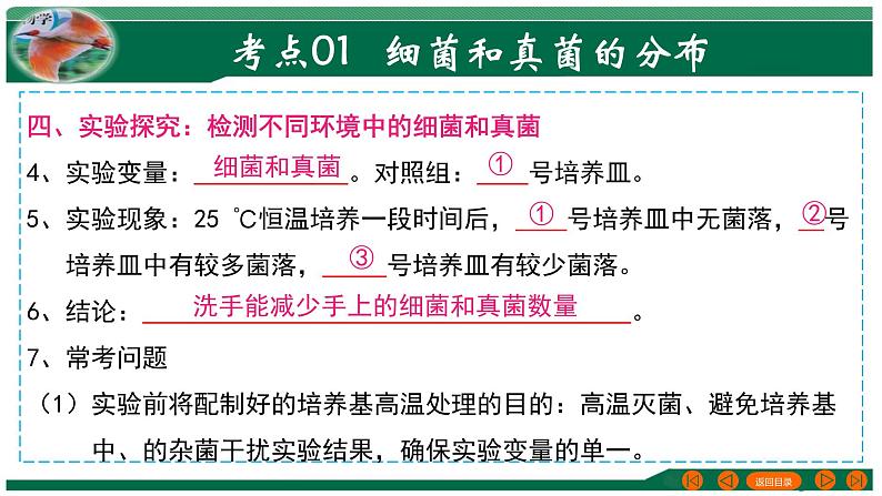 2025年中考生物一轮复习考点练习课件 专题18 细菌、真菌和病毒第8页