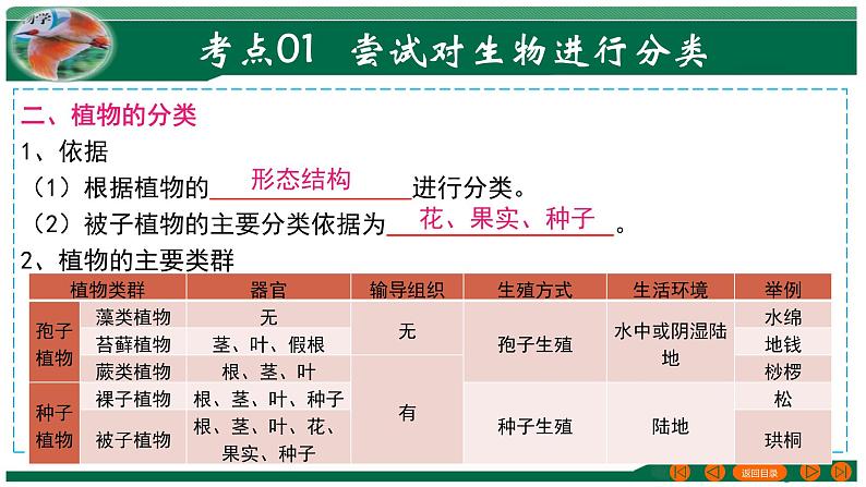 2025年中考生物一轮复习考点练习课件 专题19 生物的多样性及其保护第5页