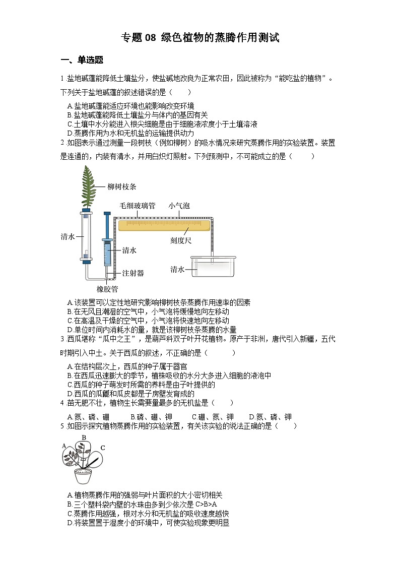 2025年中考生物一轮复习考点通关练习专题08 绿色植物的蒸腾作用(原卷版)第1页