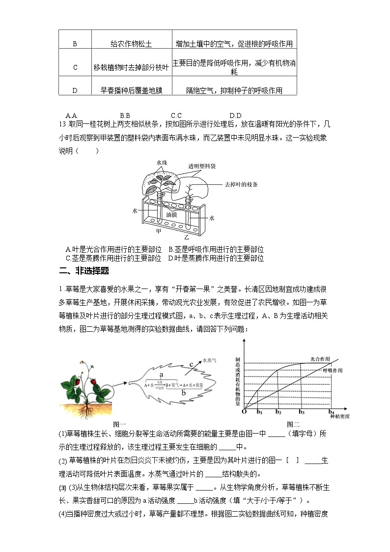2025年中考生物一轮复习考点通关练习专题08 绿色植物的蒸腾作用(原卷版)第3页