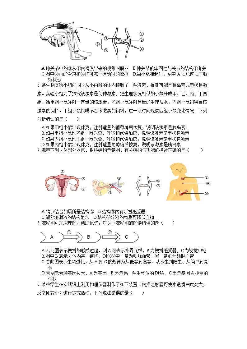 2025年中考生物一轮复习考点通关练习专题17 人体生命活动调节(原卷版)第2页