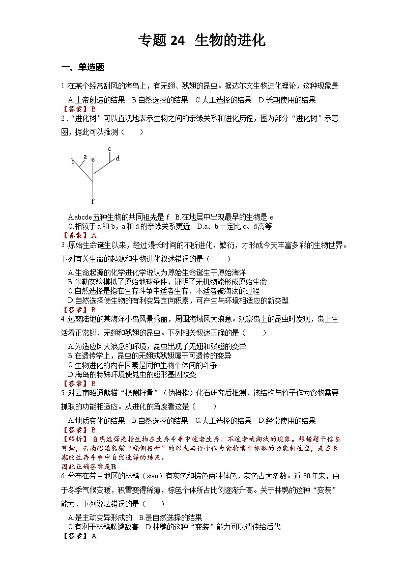 2025年中考生物一轮复习考点通关练习专题24 生物的进化(解析版)第1页