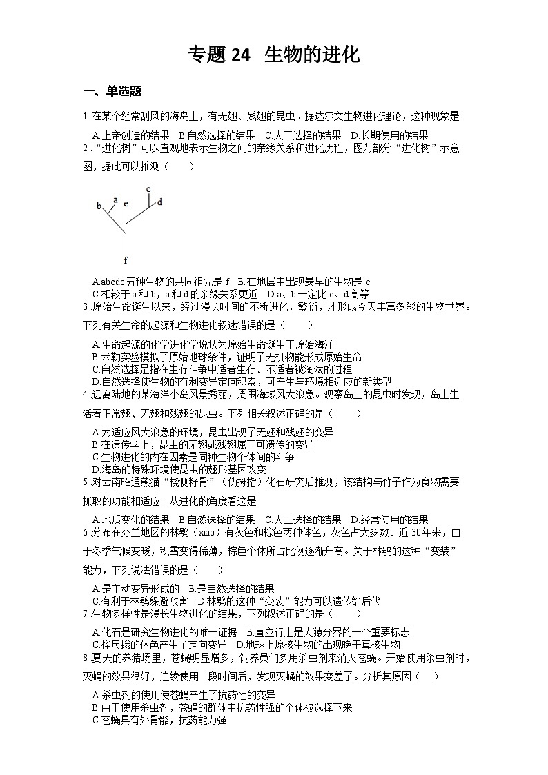 2025年中考生物一轮复习考点通关练习专题24 生物的进化(原卷版)第1页