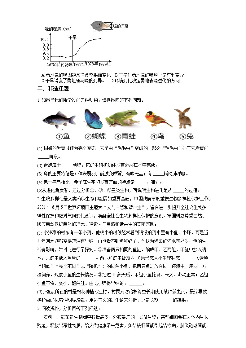 2025年中考生物一轮复习考点通关练习专题24 生物的进化(原卷版)第3页