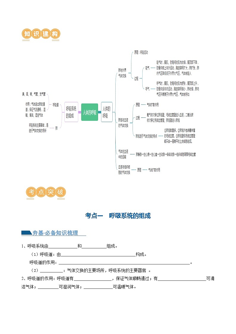 (通用版)中考生物一轮复习考点讲义专题11 人体的呼吸(原卷版)第2页