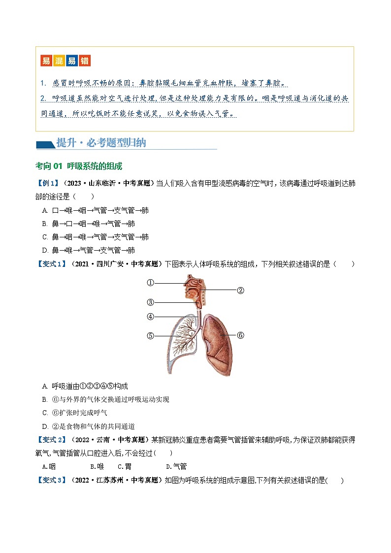 (通用版)中考生物一轮复习考点讲义专题11 人体的呼吸(原卷版)第3页