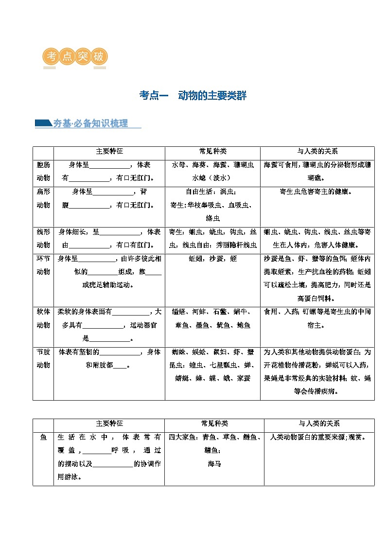 (通用版)中考生物一轮复习考点讲义专题16 动物的主要类群(2份,原卷版+解析版)03